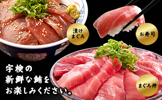 奄美大島 伝統鮪 厚切り 大トロ・中トロ・赤身（各1柵 各250g）セット 柵 冷凍 鮪 まぐろ 海鮮 刺し身 お刺身 さしみ 生食用 赤身 中トロ 大トロ 鹿児島県 奄美大島 宇検村