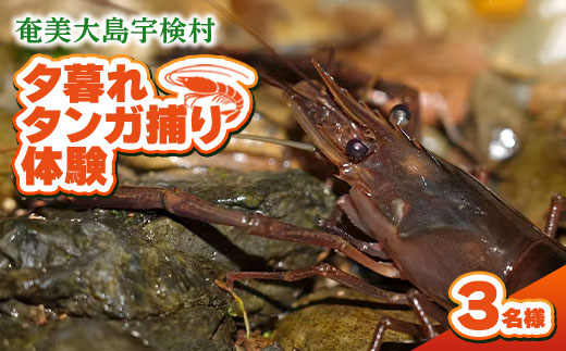 夕暮れタンガ捕り 体験 3名様 奄美大島 宇検村 鹿児島県 旅行 自然 冒険 完全プライベート