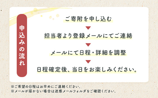 奄美最高峰「湯湾岳」ハイキング 体験 4名様 奄美大島 宇検村 鹿児島県 旅行 自然 冒険 完全プライベート