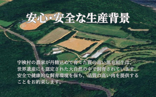 【鹿児島県産 黒毛和牛】 切り落とし 400g 【数量限定】大都牛 ブランド牛 冷凍 お手軽 牛 うし 牛肉 ビーフ 奄美大島 宇検村 経産牛