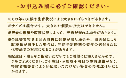 【先行予約】パッションフルーツ 贈答用 (12個入×1箱) 【7月～9月頃出荷開始】 リリコイ 果物 フルーツ デザート 人気 南国 デザート 奄美大島 宇検村 鹿児島 一どん
