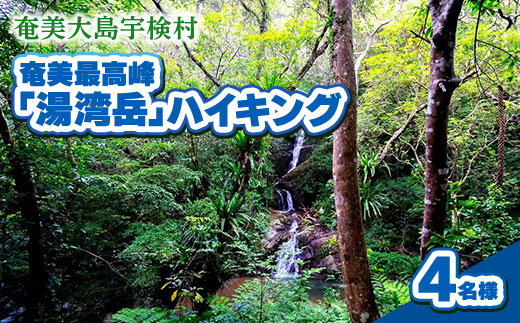 奄美最高峰「湯湾岳」ハイキング 体験 4名様 奄美大島 宇検村 鹿児島県 旅行 自然 冒険 完全プライベート