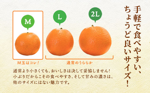 《ブランドたんかん》うららか(M玉 5kg)糖度10%以上【2025年2月～出荷開始】 タンカン 果物 フルーツ 柑橘 奄美大島 宇検村 鹿児島