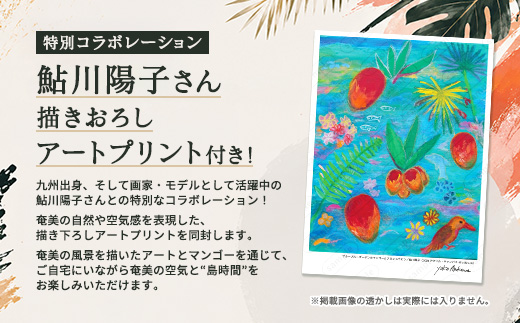 【 期間限定 数量限定 】2026年7月～９月発送 完熟 マンゴー 冷蔵 アップルマンゴー 通常サイズ 1kg 奄美 大島 宇検村 鹿児島県 果物 南国 フルーツ デザート 高級 ご褒美 贈り物 ギフト blue blue garden