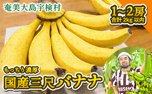 【先行予約】完熟 三尺 バナナ 〈4月より順次発送〉完熟バナナ 国産 フルーツ 果物 奄美大島 宇検村 家庭用 贈答 数量限定 プリン専門店 che