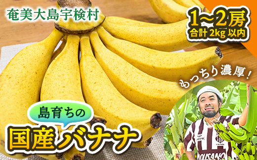 【先行予約】完熟 三尺 バナナ 〈4月より順次発送〉完熟バナナ 国産 フルーツ 果物 奄美大島 宇検村 家庭用 贈答 数量限定 プリン専門店 che