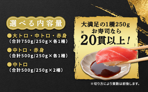 奄美大島 伝統鮪 厚切り 中トロ・赤身（各1柵 各250g）セット 柵 冷凍 鮪 まぐろ 海鮮 刺し身 お刺身 さしみ 生食用 赤身 中トロ 鹿児島県 奄美大島 宇検村
