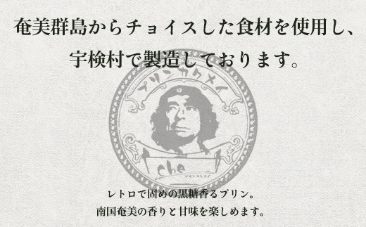 奄美大島 島バナナ パンナコッタ（4個入り）こだわり 素材 人気 スイーツ デザート 洋菓子 奄美大島 宇検村 鹿児島【プリン専門店che】