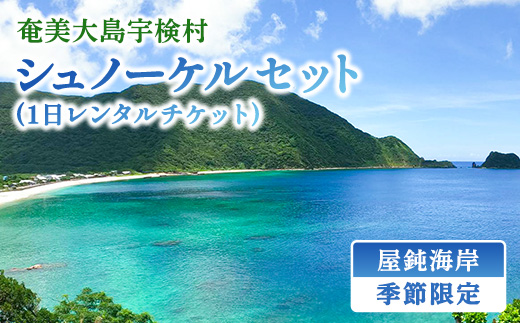 《体験》屋鈍の海でシュノーケル（１日レンタルチケット）レジャー 旅行 観光 体験 海 水泳 自然 奄美大島 宇検村 鹿児島