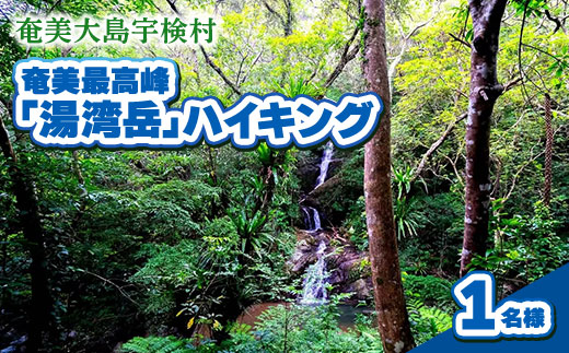 奄美最高峰「湯湾岳」ハイキング 体験 1名様 奄美大島 宇検村 鹿児島県 旅行 自然 冒険 完全プライベート