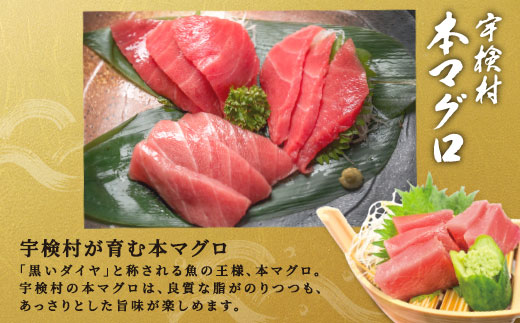 ã 宿€æç£ ã æ¬ãã°ã ã1æ¬ çŽ ã55 ~ 60 kgã å·èµ ãã°ã ãŸãã 鮪 æ¬é®ª æ¬ãã°ã 逿® å
èæã å°Ÿãªã å§¿ ãã äžãã äžãšã 倧ãã 倧ãšã 赀身 äžèœãšã åºèº« ã«ã ã»ãŒ ãŸãããš æµ·é®® ãç¥ã ããŒãã£ãŒ èŽç è±ªè¯ 100äž çŸäž