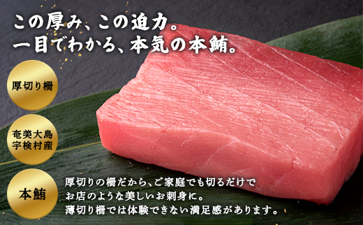 奄美大島 伝統鮪 厚切り 大トロ・中トロ・赤身（各1柵 各250g）セット 柵 冷凍 鮪 まぐろ 海鮮 刺し身 お刺身 さしみ 生食用 赤身 中トロ 大トロ 鹿児島県 奄美大島 宇検村