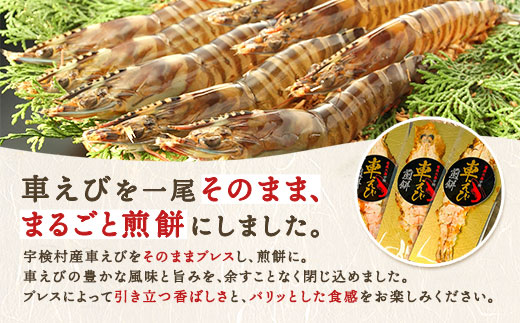 霆頑オキ閠 辣朱、(3譫壹そ繝繝) 霆翫∴縺ウ 繧ィ繝 縺翫▽縺セ縺ソ 螂鄒主、ァ蟲カ 螳讀懈搗 鮖ソ蜈仙ウカ