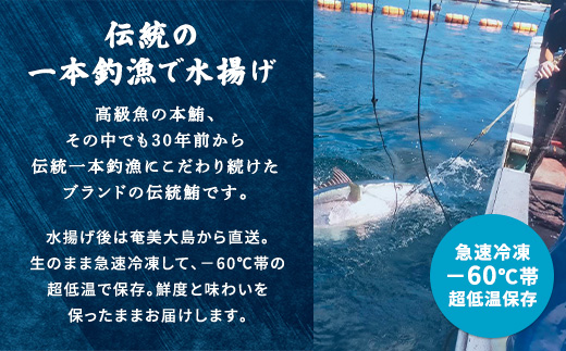 螂鄒主、ァ蟲カ 莨晉オア魄ェ 蜴壼繧 荳ュ繝医Οシ2譟オ 蜷250gシ峨そ繝繝 譟オ 蜀キ蜃 魄ェ 縺セ縺舌m 豬キ魄ョ 蛻コ縺苓コォ 縺雁絢霄ォ 縺輔@縺ソ 逕滄」溽畑 荳ュ繝医Ο 鮖ソ蜈仙ウカ逵 螂鄒主、ァ蟲カ 螳讀懈搗