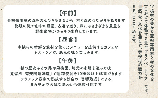 宇検村ジャングル＆村体験ツアー 1名様 奄美大島 宇検村 鹿児島県 旅行 自然 冒険 完全プライベート