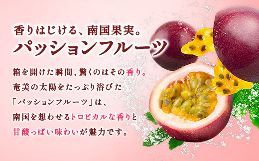 【先行予約】パッションフルーツ 贈答用 (12個入×1箱) 【7月～9月頃出荷開始】 リリコイ 果物 フルーツ デザート 人気 南国 デザート 奄美大島 宇検村 鹿児島 一どん