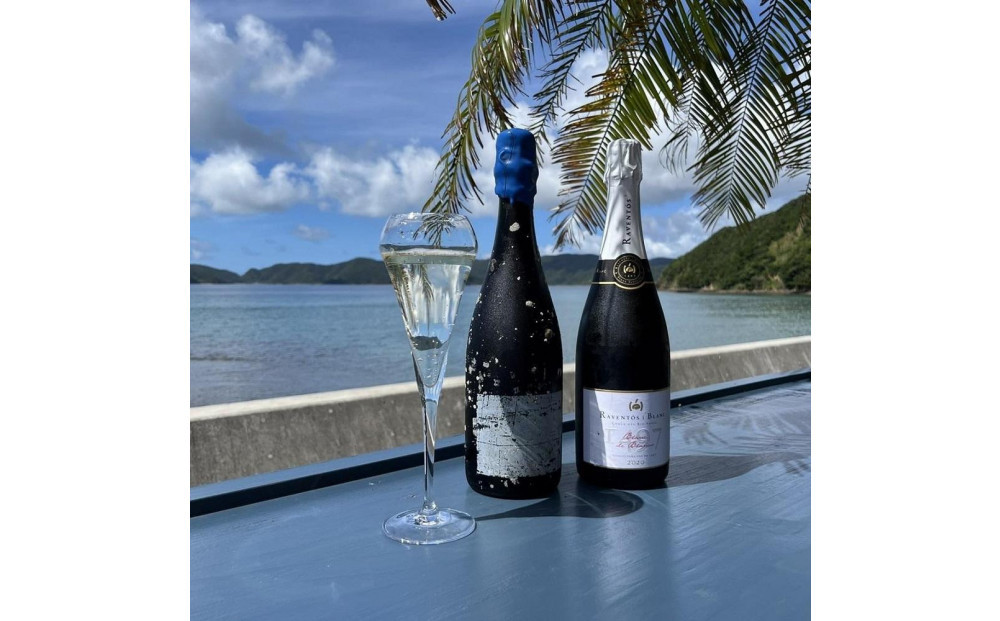 tlass SEA CELLAR -2024 1st Edition- 海底熟成前後飲み比べスパークリング 750ml×2本