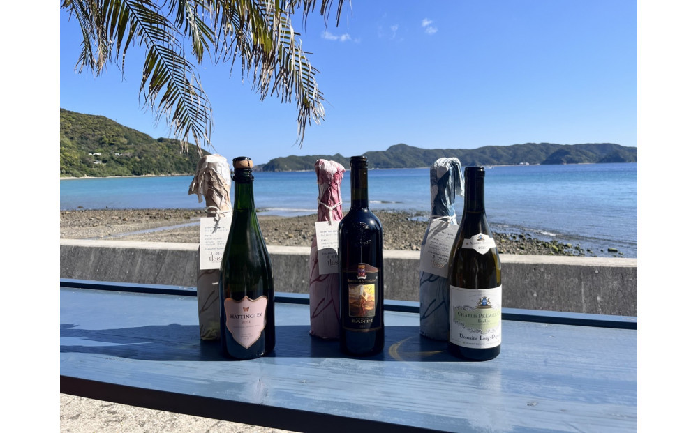 tlass SEA CELLAR -2025 2nd Edition- 海底熟成前後飲み比べワイン 白・赤・スパークリング 750ml×6本セット