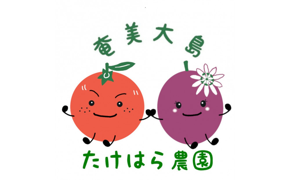 【2026年発送分 先行受付】パッションフルーツ 化粧箱15個入り(Ｍ玉)×3箱【たけはら農園】