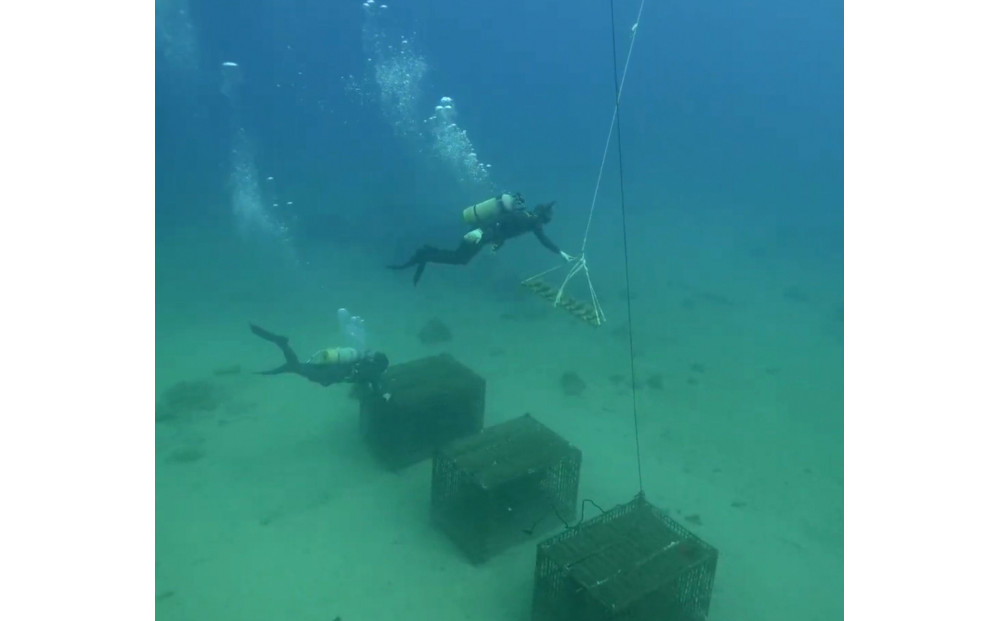 tlass SEA CELLAR -2025 2nd Edition- 海底熟成前後飲み比べスパークリング 750ml×2本