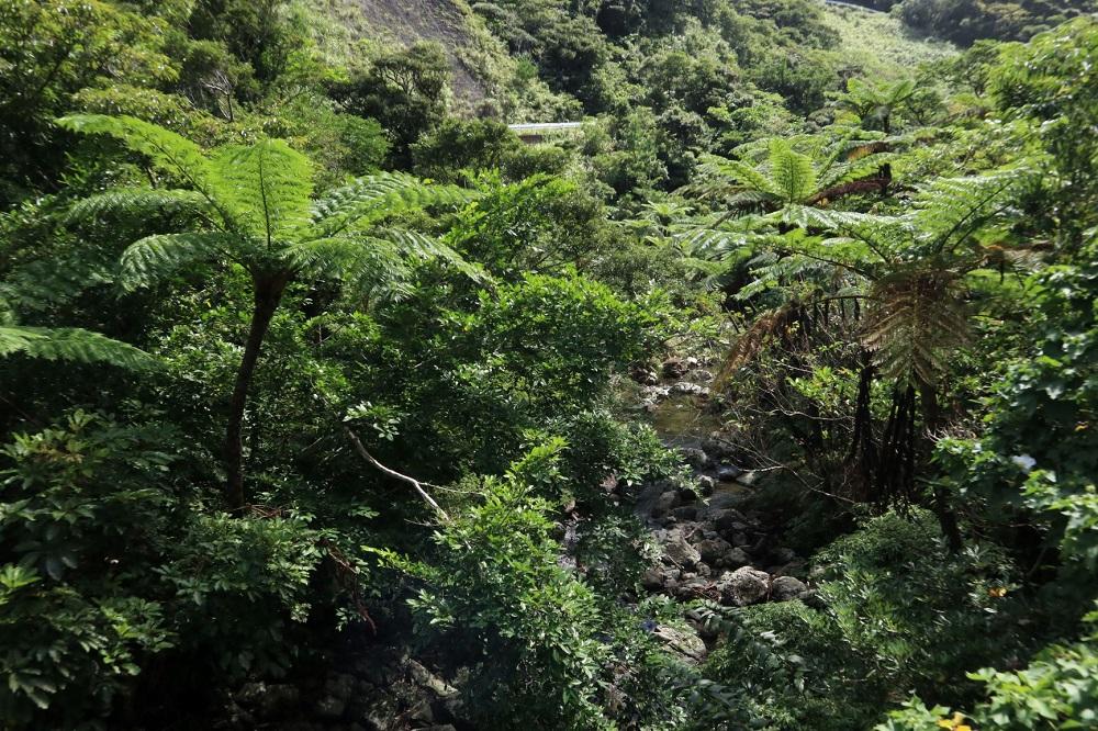 【奄美大島 瀬戸内町】JTBふるさと旅行券（紙券）450,000円分
