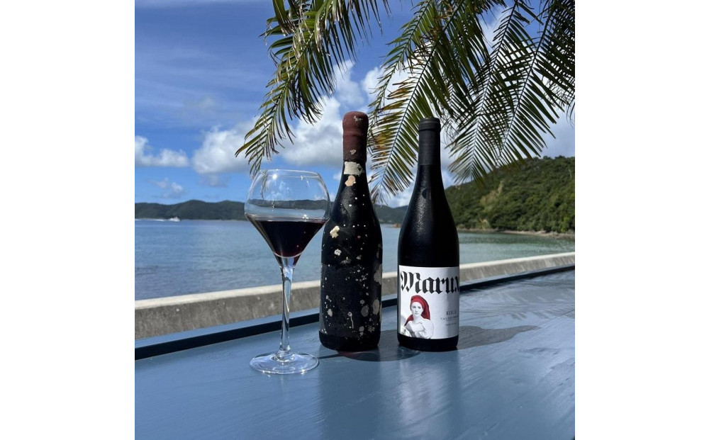 tlass SEA CELLAR -2024 1st Edition- 海底熟成前後飲み比べ赤ワイン 750ml×2本