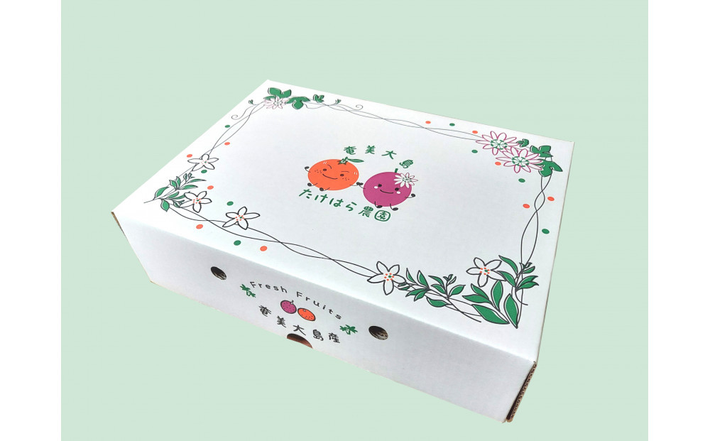 【2026年発送分 先行受付】パッションフルーツ 化粧箱15個入り(Ｍ玉)×3箱【たけはら農園】