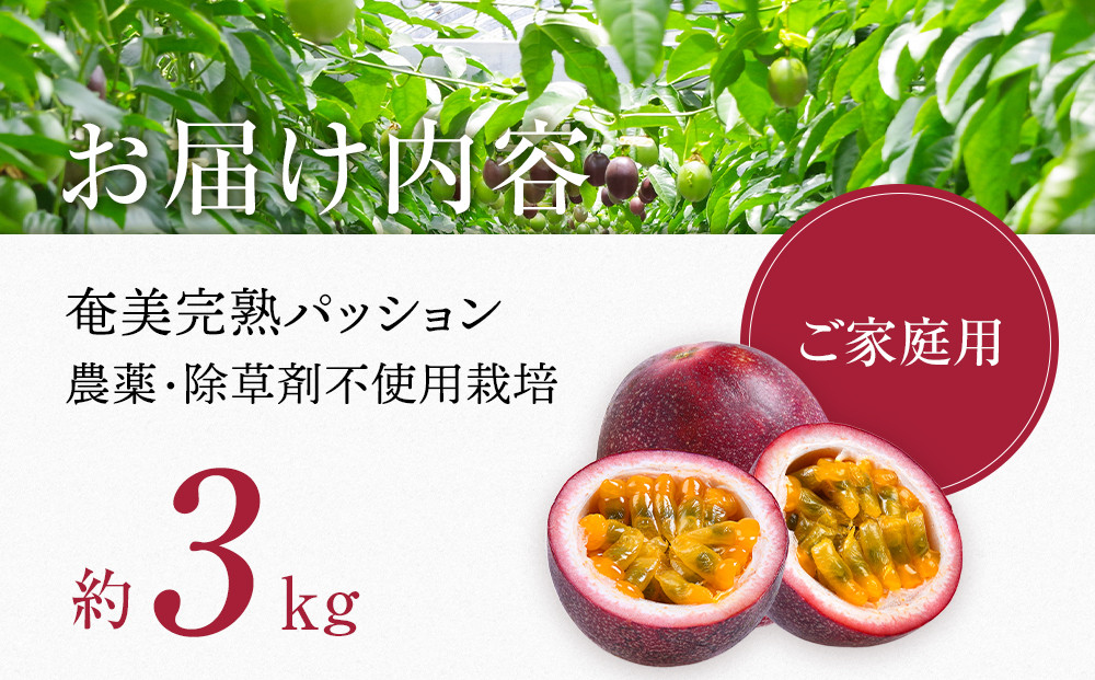 期間限定【農薬不使用】奄美大島 完熟パッションフルーツ3kg（農家直送）