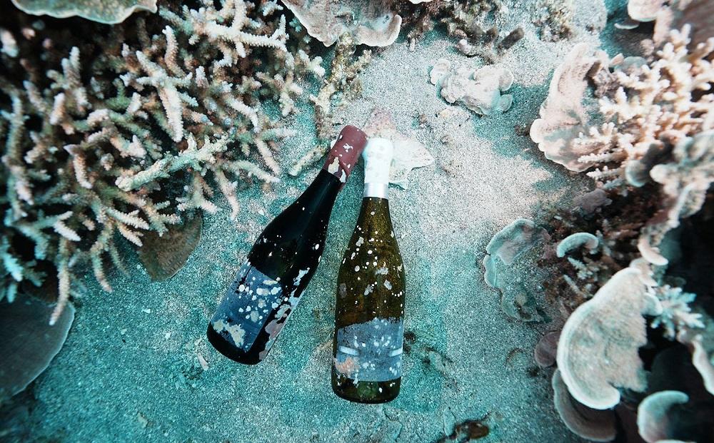 tlass SEA CELLAR -2024 1st Edition- æµ·åºçæçœã¯ã€ã³ 750mlÃ1æ¬