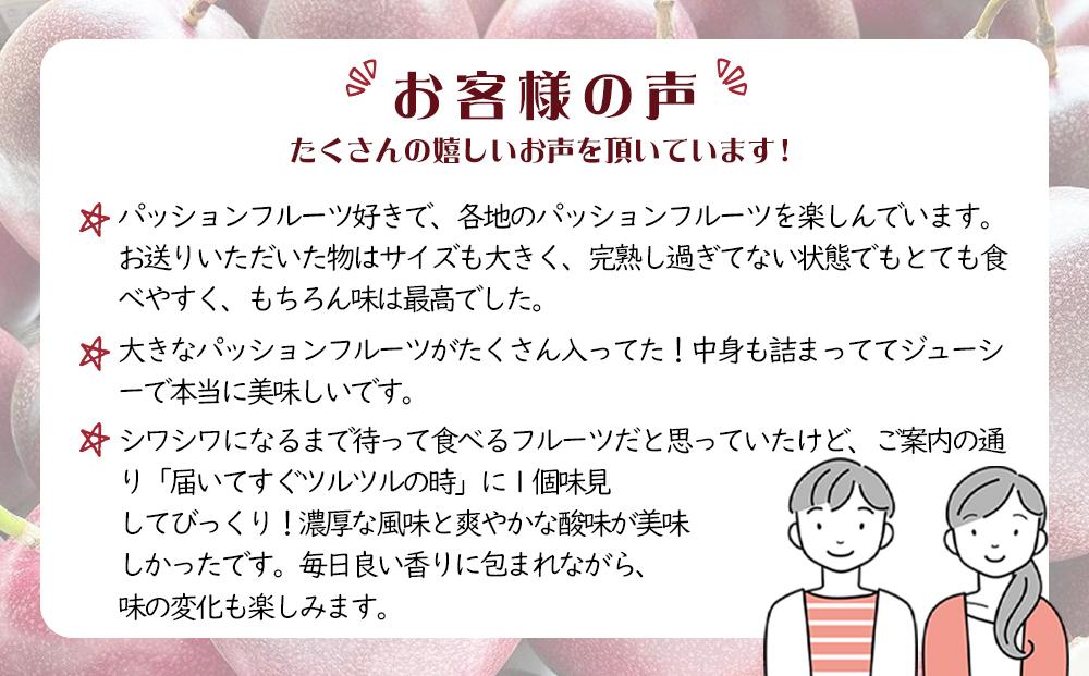 【先行受付】奄美大島 パッションフルーツ 3kg箱　（バラ詰）