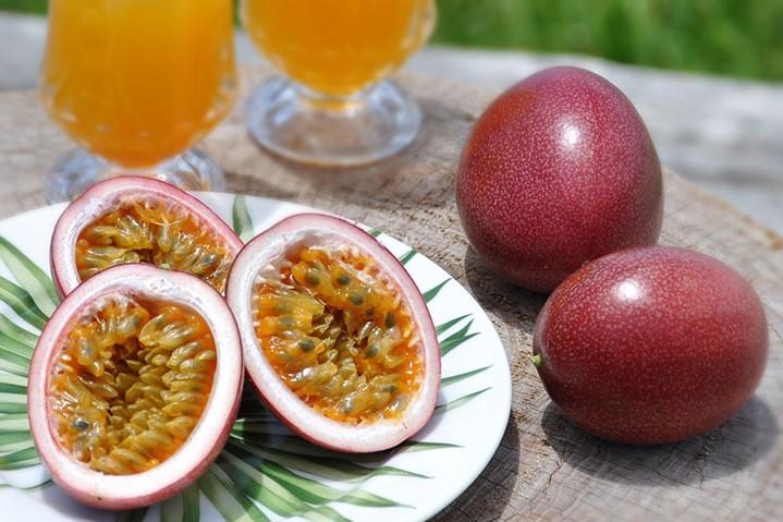 【2026年発送分 先行受付】パッションフルーツ 化粧箱12個入り(L玉)×5箱【たけはら農園】