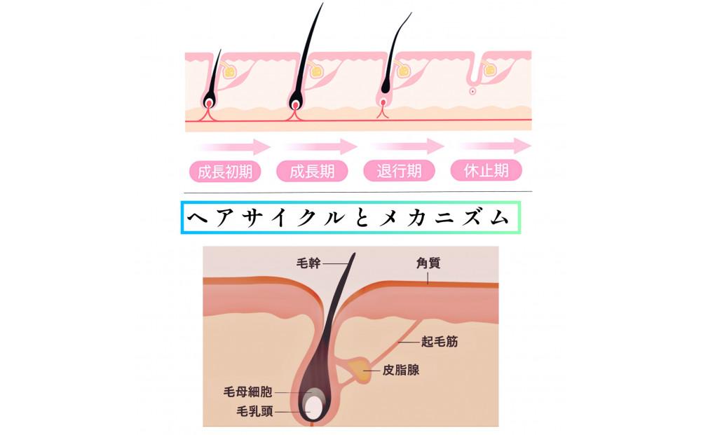 ihap care cream＆scalp care lotion 2点セット