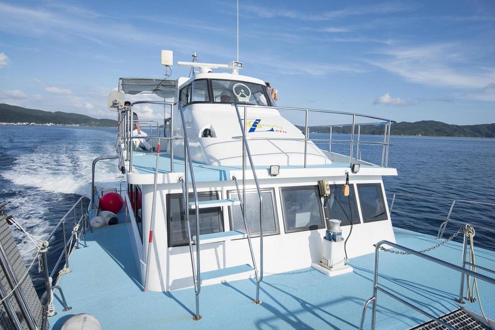 絶景遊覧！奄美大島ディクルージング（2時間）