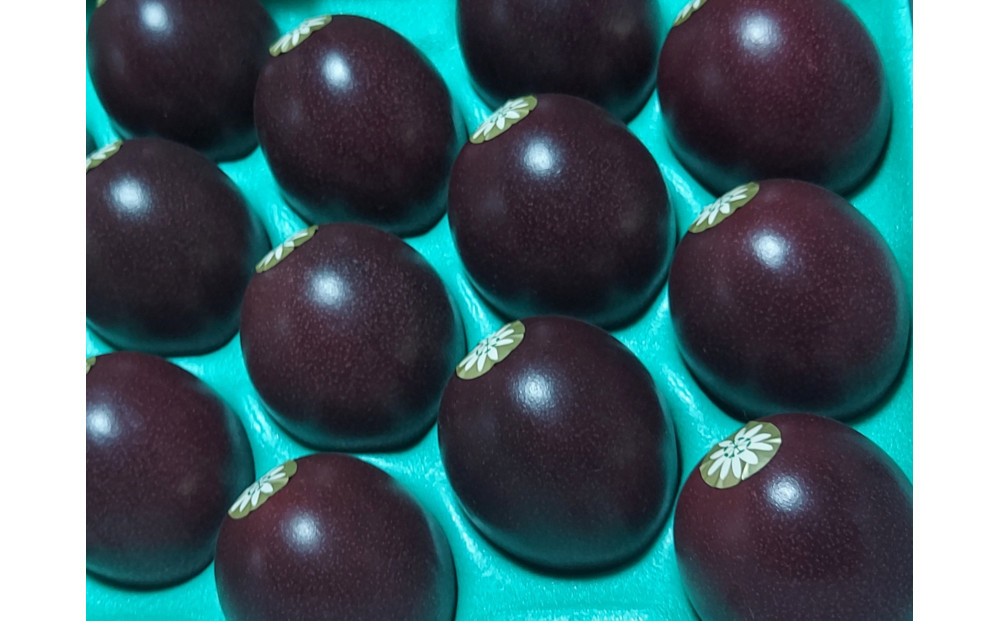 【2026年発送分 先行受付】パッションフルーツ 化粧箱15個入り(M玉)×２箱【たけはら農園】