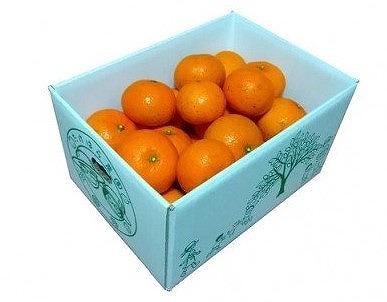 【2026年発送分 先行受付】たんかん ご家庭用バラ詰め3kg×2箱【たけはら農園】