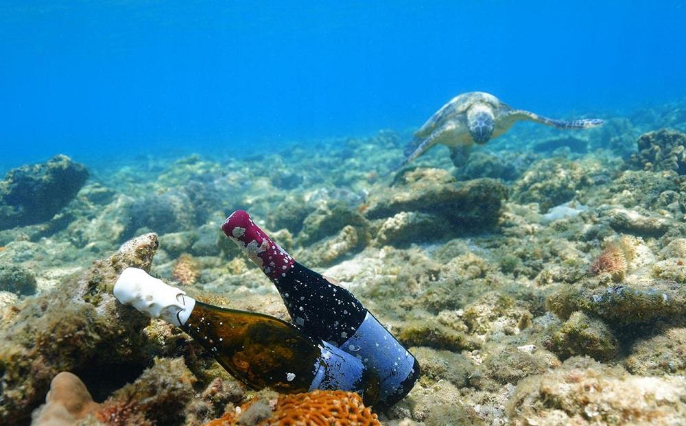 tlass SEA CELLAR -2024 1st Edition- 海底熟成赤ワイン 750ml×1本