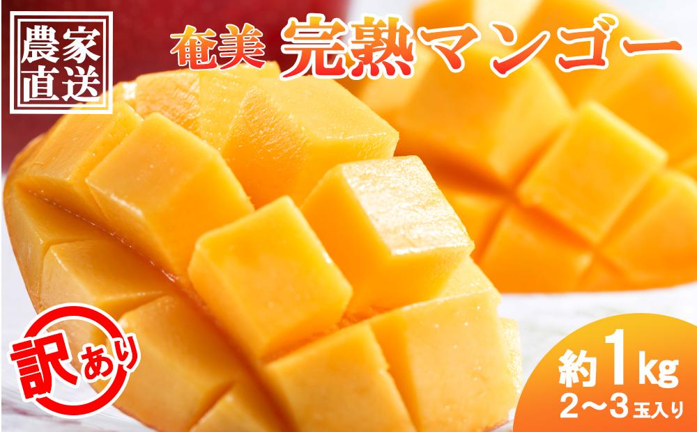 【2026年 先行予約】奄美完熟マンゴー 訳あり 家庭用 約1kg(2～3玉入り) 