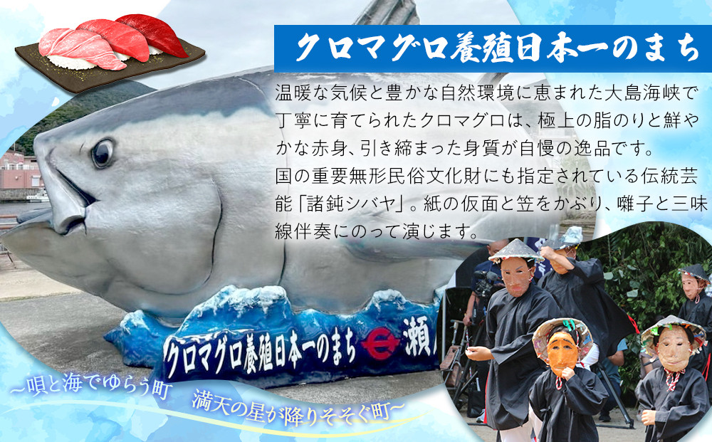 ã2026幎çºéããç宀ç®äžåç£å°ã®ããã·ã§ã³ãã«ãŒããå¥çŸå€§å³¶ç¬æžå
çºç£ã倧ç12åå
¥ãïŒçŽ1kg