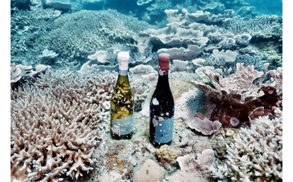 tlass SEA CELLAR -2025 2nd Edition- 海底熟成前後飲み比べワイン 白・赤・スパークリング 750ml×6本セット