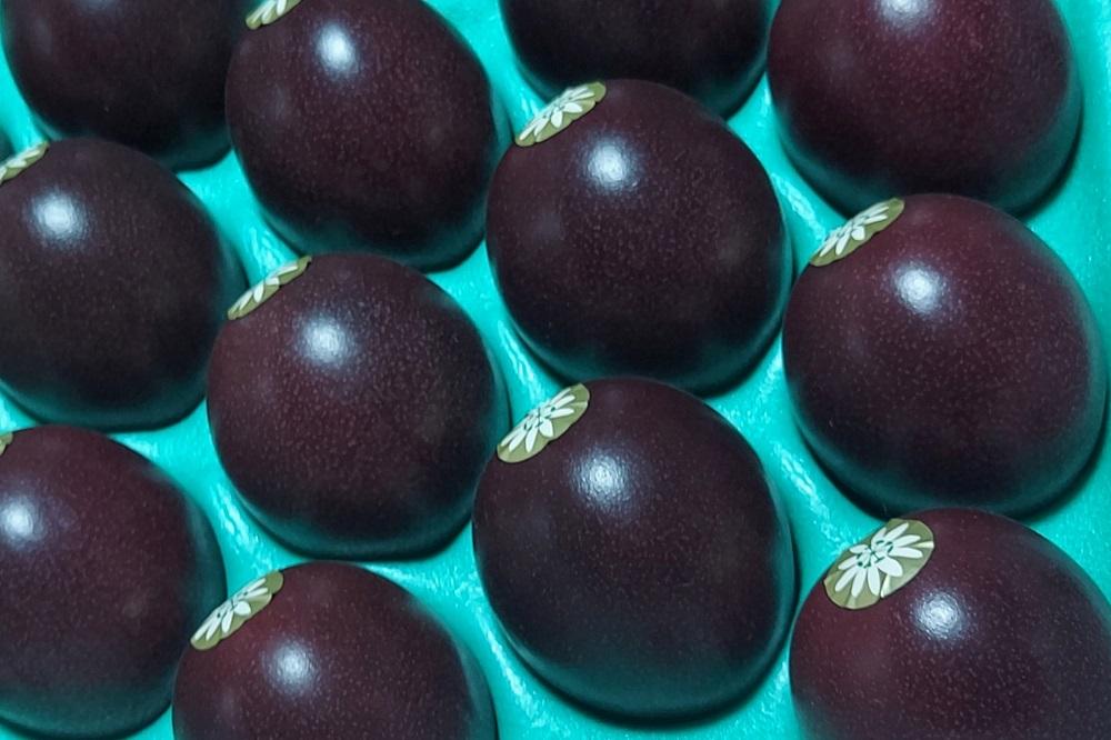 【2026年発送分 先行受付】パッションフルーツ 化粧箱15個入り(M玉)【たけはら農園】