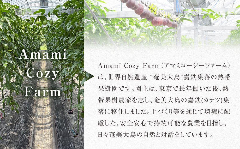 期間限定【農薬不使用】奄美大島 完熟パッションフルーツ3kg（農家直送）