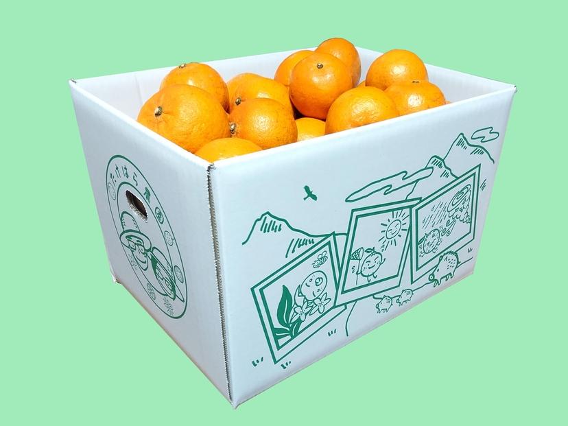 【2026年発送分 先行受付】たんかん ご家庭用バラ詰め７kg【たけはら農園】