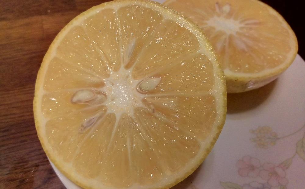 å¥çŸå€§å³¶ç£ å³¶ããã 2.5kgïŒè³éãªéŠããšçœãããªå³ã®åœç£ã¬ã¢ã³ïŒ