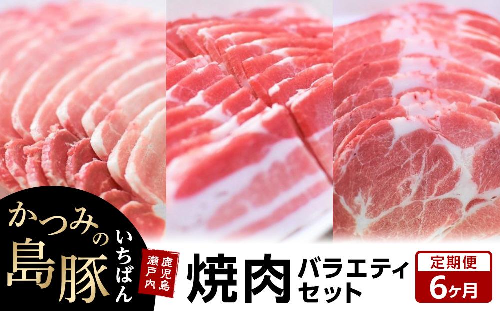 【定期便6か月】かつみの島豚いちばん焼肉バラエティセット 750g（250g×3パック）