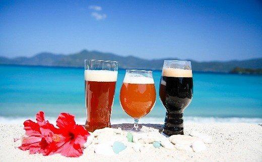 奄美群島地ビールAMAMIGARDEN 3種セット（330ml×各4本）