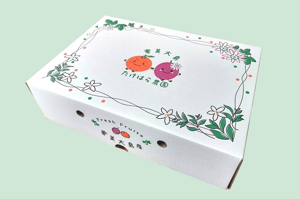 【2026年発送分 先行受付】パッションフルーツ 化粧箱15個入り(M玉)【たけはら農園】