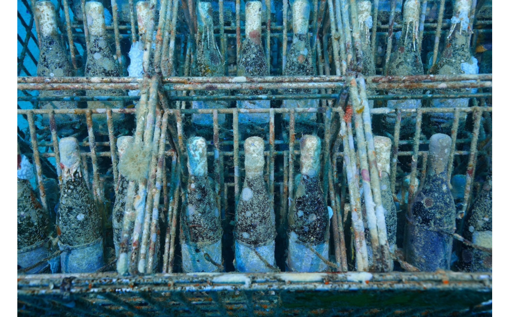 tlass SEA CELLAR -2024 1st Edition- 海底熟成前後飲み比べスパークリング 750ml×2本