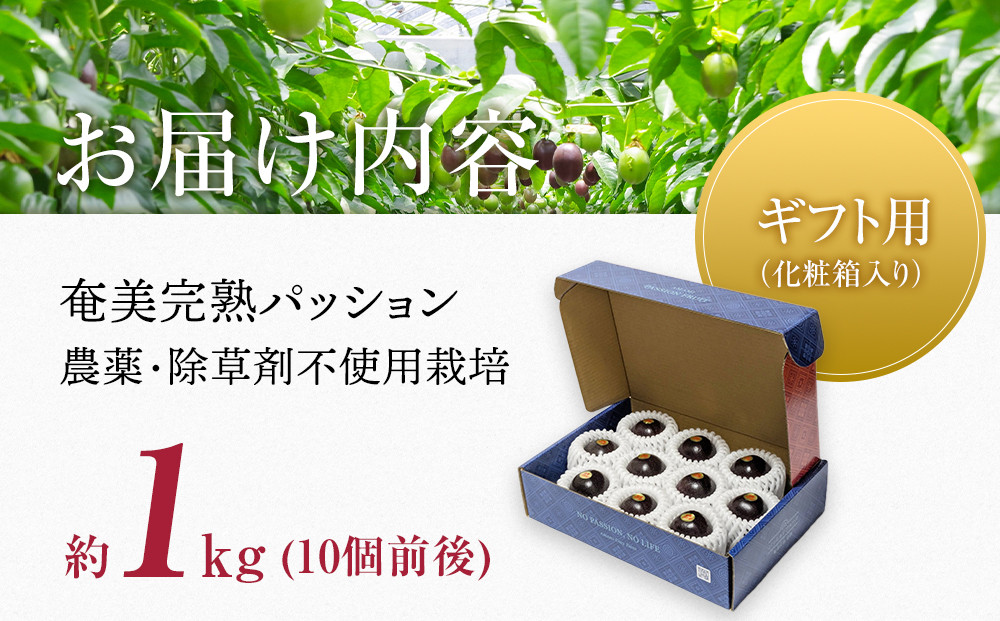 期間限定【農薬不使用】奄美大島 完熟パッションフルーツ約1kg（農家直送）