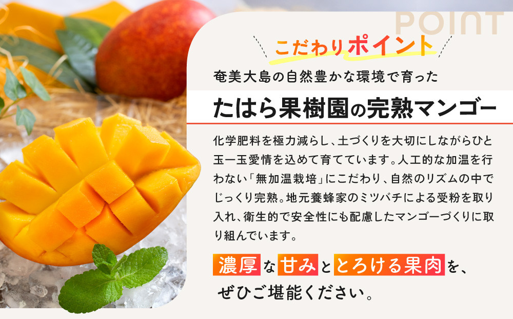 ã2026幎 å
è¡äºçŽãå¥çŸå®çãã³ãŽãŒ åç²§ç®± çŽ1kg(2ïœ3çå
¥ã) 蟲家çŽéïŒ
