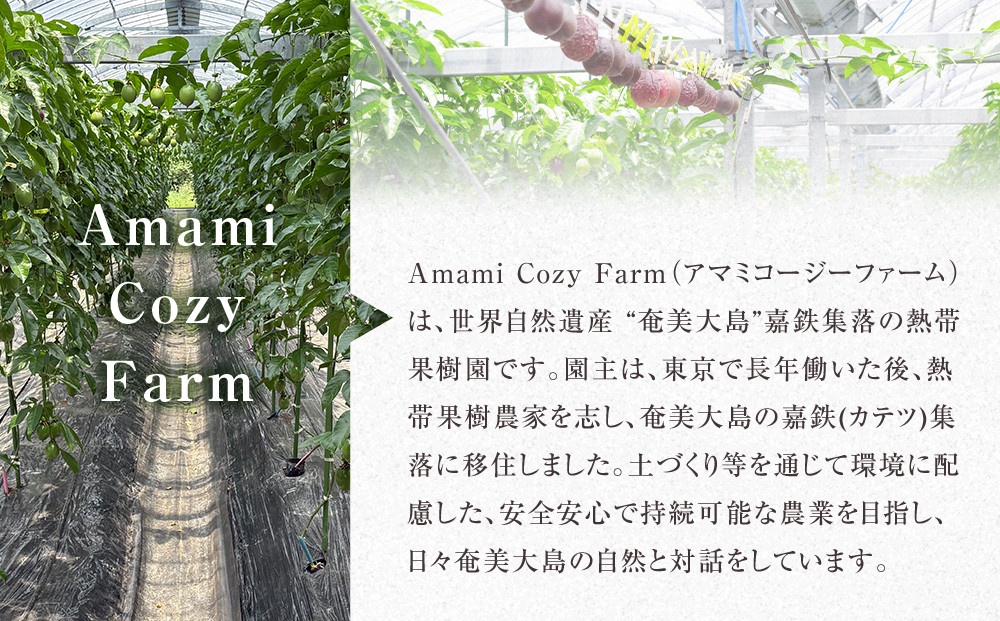 期間限定【農薬不使用】奄美大島 完熟パッションフルーツ約1kg（農家直送）